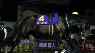 【門別遠征馬情報】盛岡「OROカップ」では2着フジノロケットが高配当の使者に！29日の金沢「白山大賞典JpnIII」には昨年の道営記念馬リンノレジェンドが挑戦/地方競馬情報