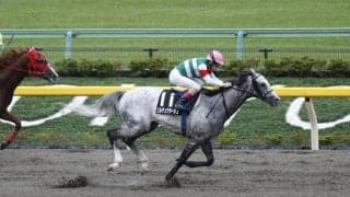 【白山大賞典予想】地方初参戦のエルデュクラージュ、前走より斤量3kg減で重賞初制覇へ/NARレース展望