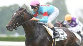 【スプリンターズS展望】秋のGI戦線がいよいよ開幕！あの馬の巻き返しを期待したい