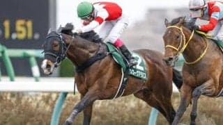 【シリウスS】フルゲート16頭に18頭　賞金上位に水曜出走の馬も/出走馬決定順