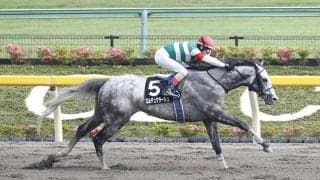 【金沢・白山大賞典予想】 加賀の伝統重賞はJRA勢が席巻!? 好メンバーが揃った一戦を制するのは？/地方競馬レース展望