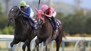 【金沢・白山大賞典結果】マスターフェンサーが競り合いを制し重賞連勝！