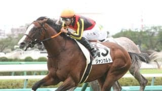 【新馬/中山5R】ハービンジャー産駒 ジャンカルドがデビューV！