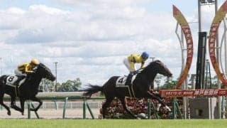 【新馬/中京5R】武豊 ノースブリッジが逃げ切り！デビューV