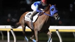 【YJS・TR船橋第1戦】JRA秋山稔樹騎手が7番人気ゴールデンルートでV！