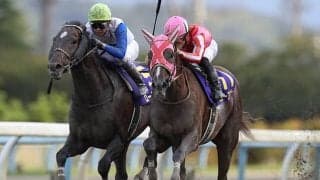 【白山大賞典】売上はレコードの5億円超、前年のレコードを1億円以上更新