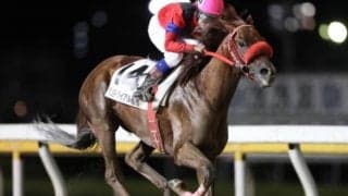 【YJS・TR船橋第2戦】池谷匠翔騎手が2番人気マテラヴィクトリーでV！