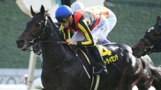 【次走】神戸新聞杯2着のヴェルトライゼンデは菊花賞へ向かう