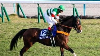 【次走】オールカマー覇者センテリュオはエリザベス女王杯へ向かう