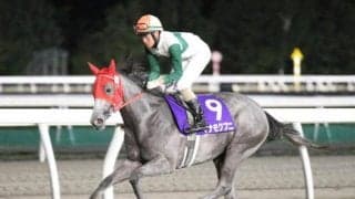 【門別競馬情報】開催18日間を残し「400億円」を突破。過去最高超えも可能性大の門別ナイター、今夜メイン12Rは「北竜ひまわりライス特別」/地方競馬情報