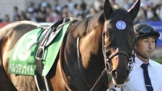 【次走】札幌記念2着のペルシアンナイトは富士Sへ向かう