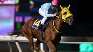 【日本テレビ盃予想】抜けた馬不在で高レベルの混戦模様!!/NARレース展望