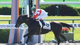 【シリウスS展望】今年は中京ダ1900mで行われるハンデ重賞、注目はあの馬