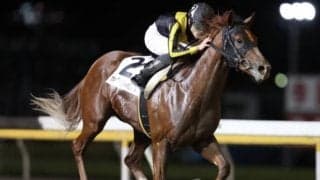 【マキバスナイパーM】トゥザワールド産駒ワールドリングが平和賞TRを圧勝！