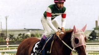 「ポジー」多くのファンから愛された1頭の牝馬