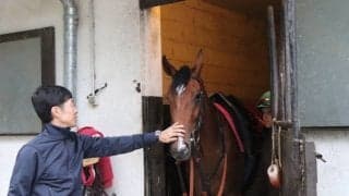 【海外競馬】アマレナ 武豊騎手と昨年以来のコンビ