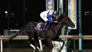 【日本テレビ盃】三浦「前走以上の成長」ロードブレスが重賞初挑戦で初制覇！
