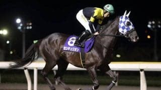 【姫山菊花賞予想】重賞馬センチュリオン、園田で地方重賞初制覇へ/NARレース展望