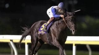 【日本テレビ盃】三浦皇成騎手「底知れぬ成長力を感じます」　ロードブレス重賞初V