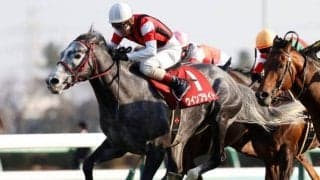 【次走】ウインブライトは天皇賞・秋で復帰　休養中の松岡正海騎手とのコンビを予定