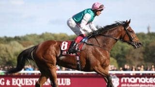 【凱旋門賞 出走馬】エネイブル・ラブ・ジャパン・ディアドラら16頭　枠順は1日発表予定