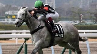 カレンモエは京阪杯を視野　ロードカナロア×カレンチャンで安田隆行厩舎の所属