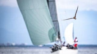 逗子レガッタ&ダブルハンドの写真をフォトギャラリーに掲載