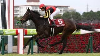 【スプリンターズS】出走馬の調教後の馬体重