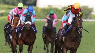 【スプリンターズS】枠順と見どころ グランアレグリアは5枠10番