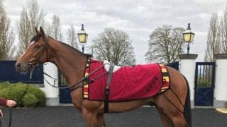 【海外競馬】Aオブライエン厩舎 使用する飼料から禁止薬物が検出！武豊騎乗ジャパンなど検査待ち