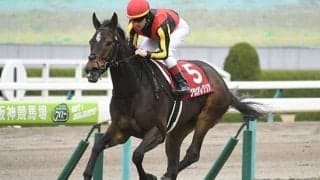 【スプリンターズS予想】グランアレグリアに不吉なデータ!? 勝負の明暗を分けるのは“消耗戦の経験の有無”/JRAレース展望