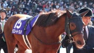 【スプリンターズS予想】秋シーズン最初のGIレースは見どころ満載!!/JRAレース展望