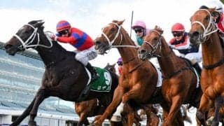 【豪州競馬】各地でG1開催、ターンブルSではC.ウォラー調教師の管理馬が上位独占