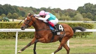 【凱旋門賞予想】史上初の凱旋門賞3勝目なるか？ 女王エネイブルの前に立ちはだかるライバルたちを仏在住美人記者がジャッジ！/海外レース展望