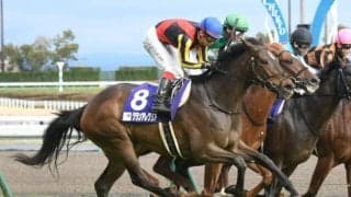 【スプリンターズS前日オッズ】グランアレグリアが2.5倍で1番人気