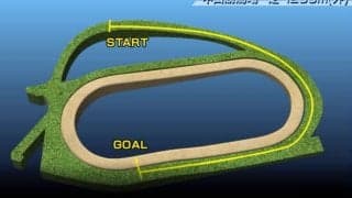 【スプリンターズS コース解説】下りスタートでペースが上がりやすいコース