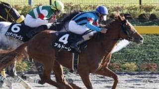 【シリウスS予想】長く良い脚を使えるアルドーレに期待