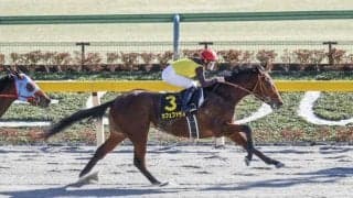 【本日の注目ポイント】中京でダート重賞・シリウスS、両場で2歳オープン、血統馬のデビュー戦など