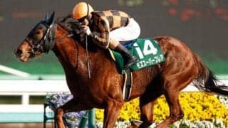 【本日の注目ポイント】秋のGI開幕！第一弾はスプリンターズS