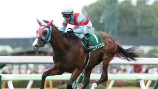 【スプリンターズS予想】ペースのカギはモズスーパーフレアに絡む馬！ レース展開から狙い馬を考察する/JRAレース展望