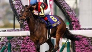 【スプリンターズS・馬体重】グランアレグリアは504kg(+12)、モズスーパーフレアは502kg(-6)