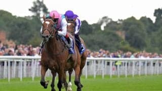 【凱旋門賞予想】 凱旋門賞3勝目は濃厚!? 女王エネイブルに待ったをかける、有力な挑戦者はやはり3歳馬？/海外レース展望