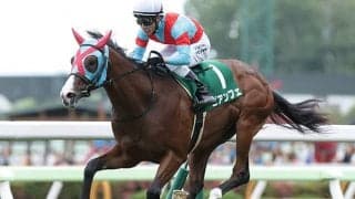 【スプリンターズS】枠入り不良のビアンフェは1ヶ月出走停止、停止期間後に発走調教再審査