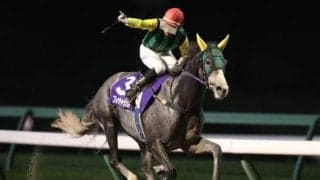 【盛岡・ダービーグランプリ結果】地元のフレッチャビアンカが4馬身差快勝