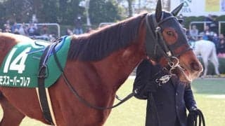 【スプリンターズS】ベストターンドアウト賞はモズスーパーフレアが受賞