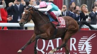 【凱旋門賞JRAオッズ】4頭取り消しの11頭立てでエネイブル断然の単勝1.5倍　ディアドラは7番人気