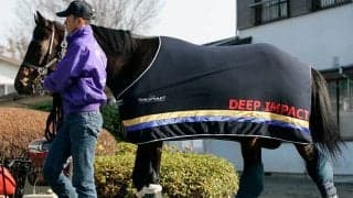 ディープインパクト産駒がJRA芝GI完全制覇に王手、グランアレグリアのスプリンターズS勝利で