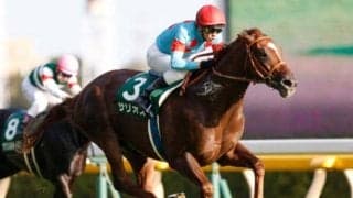 秋の東京・京都・新潟開幕！ 前哨戦の毎日王冠＆京都大賞典に注目/今週の競馬界の見どころ