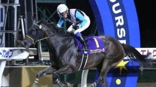 【大井・レディスプレリュード枠順確定】プリンシアコメータは7枠13番、マルシュロレーヌは5枠10番