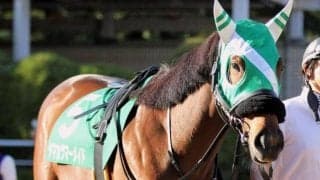 【オパールSハンデ確定】ヤマカツマーメイドは51.0kg、ダノンチェイサーは56.0kg